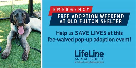 lifeline fulton county|lifeline fulton county animal shelter.